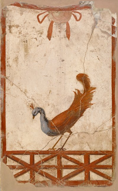 Frammento di muro con pavone, I secolo da Roman